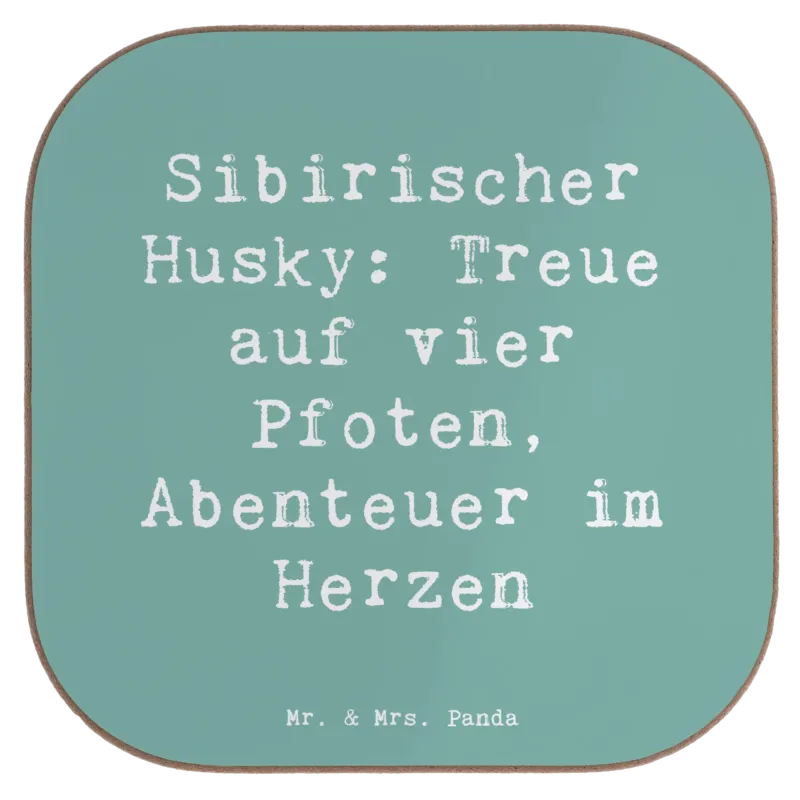 p:1772577|h:fa5a10ed3db0b483bb0a1199ce91e75f