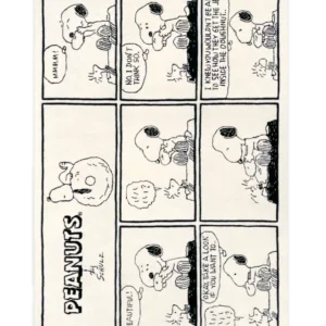 Peanuts Rug Comic Doughnut 200 x 300 cm