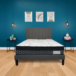Spinal Rest Mattress – Medium Firm Support with Pillow Top for Back Relief